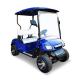 30mph Golf Cart Low Speed Vehicle  2 Passengers LSV With CE Certificated