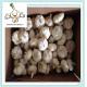 Alibaba China Wholesale Garlic Price In Carton Box And Mesh Bag