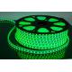 Waterproof Neon LED Flex Strip Rope Light DC12 / 24V / 120V / 110V / 220V 168LEDs/m