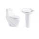 Gravity Double Flush One Piece Bathroom Toilet All In One Toilet 690X370X760mm