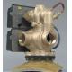 Commercial Multi - Way Fleck Control Valve  250 GPM Continuous Flow Rate 2900ST
