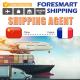 Shenzhen To France Sea Freight Forwarder China To Europe