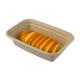Disposable Biodegradable Bagasse Sugarcane Bagasse Food Container Take Out Nontoxic