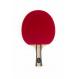 Combined Handle Professional Table Tennis Racket Pimple In Sponge 2.0mm Star Style