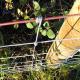 Metal Galvanized Deer Field Fence High Tensile Woven Wire Fixed Farm Cattle Fence