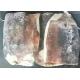 Bqf Squid Dried Fish Frozen Huge Size Store Condition -18 Degree C