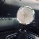 70mm Crystal Resin Shift Knob Real Flowers Dandelion Shift Knob