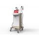 2 handlepieces cooling body shaping machine 2 cryolipolysis handles working in the same time