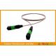 12 Core Ribbon Fiber Mpo To Mpo Jumper,  Mtp / Male Single Mode Fiber Cable
