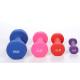 Colorful Commercial Exercise Equipment For Home Vinyl Coated Dumbbell Set