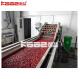 Production Line High Efficiently Dates Processing Machine Easy Operation