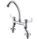 Wall Mounted Brass Mixer Tap Kitchen Faucet Hot Cold Water Mixer for Commercial Kitchen
