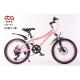 21 Speed MTB Mountain Bikes 20 Inch ODM OEM Customized Logo Accept