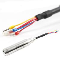 Depth Submersible Pressure Transducer 4 20ma Hydrostatic Water Level Sensor APT300