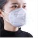 Custom Folded FFP1V Earloop Anti Pollution Face Mask