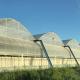 Multi-Span Agricultural Greenhouses Advanced Hydroponic Growing System for Section 4m/8m
