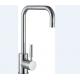 Classical NSF European Kitchen Faucet With 2 Types Handles