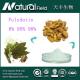 Reynoutria japonica Houtt CAS: 65914-17-2 polydatin powder 98%