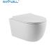 Sanitwell SWJ1125 Bathroom wc white toilet bowl rimless flush