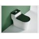 One Piece Dual Flush Sanitary Ware Toilet Floor Mounted 3D Design