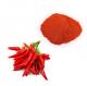 Hot Spicy Red Chilli Powder