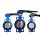 Manual Resilient Seated Ductile Cast Iron Industrial Control Wafer Lug Butterfly Valves with EPDM PTFE PFA Rubber Lining