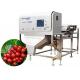 Infrared Coffee Cherry Sorting Machine 0.5-0.8 Mpa 3T/H 2040x1120x1630mm