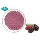 Freeze Dried Mulberry Fruit Powder / Mulberry Fruit Powder in Pink Powder for Beverage