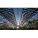 Thermal Insulation Commercial Photovoltaic Greenhouses Customization Option Offered