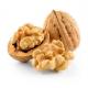 China New Crop Hot Sale In Turkey From China Walnuts Kernel Halves Paper Shell Walnut