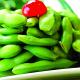 IQF Peeled Edamame Beans Kernels Frozen Green Soybeans With Pods