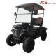 4 Wheel Electric Mini Golf Cart 2 Seaters Club Car Black Color