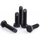 Black Hex Head Bolts With A Hole on the End of Shank Grade 8.8 &.10.9 Carbon Steel