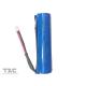 ER10450 Lithium Battery 3.6 v 750mAh With Electrinic Tag For Alarm
