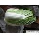 Frozen Vegetable Factory Napa Cabbage Plant Can Lower Blood Pressure