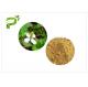 Traditional Plant Extract Powder Inflammation Houttuynia Cordata Thunb Extract Powder