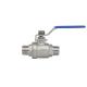 2PC Ball Valve Full Bore Male-Male Thread CF8 BSPP Oed End Connection Customized