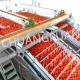 High-Speed Tomato Production Line Tube In Tube Sterilizer 2-20T/H Filling Speed