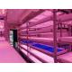 25.5 Sqm Automatic Hydroponic Plant Containers Zero Pollution