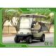 2 Passenger Electric Utility Carts / Cargo Golf Buggy Car With 350A USA Curties Controller