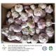 China fresh garlic export to Brazil by loose packing carton box.5.5-6.0cm