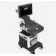 Windows Embedded OS medical Trolley Ultrasound Scanner Machine system