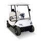 2 Passenger Terminator 48V Electric Golf Cart New Energy 5KW OEM