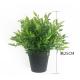 Grass 60cm Little Artificial Potted Floor Plants Home Office Decoration Customized
