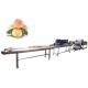 Industrial Fruit And Vegetable Cleaning Machine Air Drying Production Line