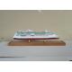 Handcrafted Royal Caribbean Cruise Ship Models Radiance Of The Seas Model , Injection Mold Making