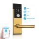 Stainless Steel TTlock BLE Apartment Smart Door Lock with Password Card and Key