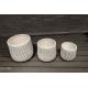 7-8 Years Indoor Life Time Fiberclay Planter For Indoor Hotel Garden Home