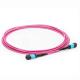 10G OM4 MPO Products purple trunk cable 12 Fiber optic patch cord  IL