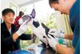 Vets team up for pet clinic